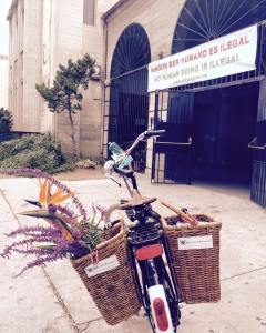 10537014_10153709240494439_6520136682790869989_n