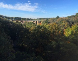 2016-10-28 09.50.49-1